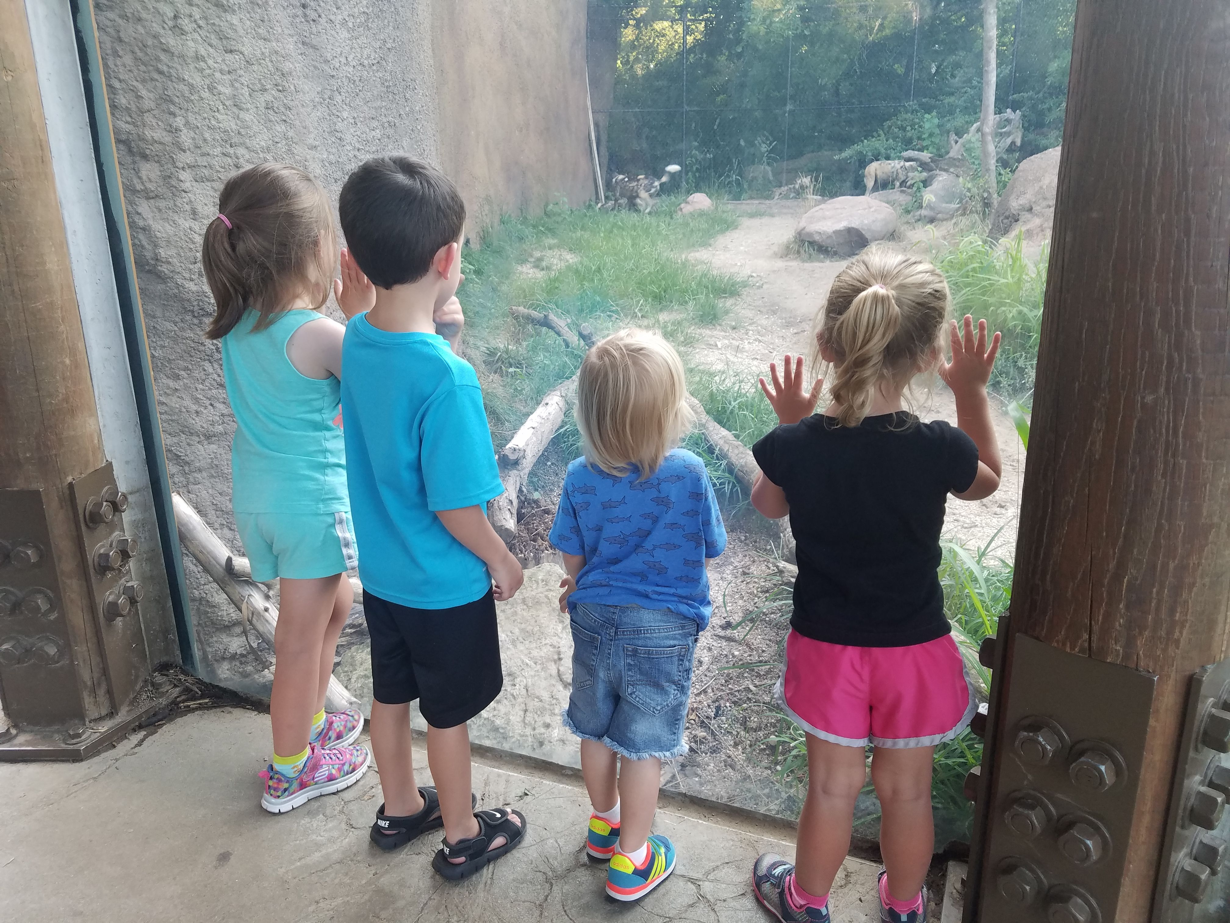 Zoo with Friends
